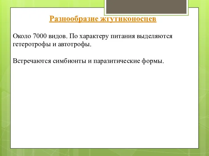 Разнообразие жгутиконосцев Около 7000 видов. По характеру питания выделяются гетеротрофы и автотрофы.