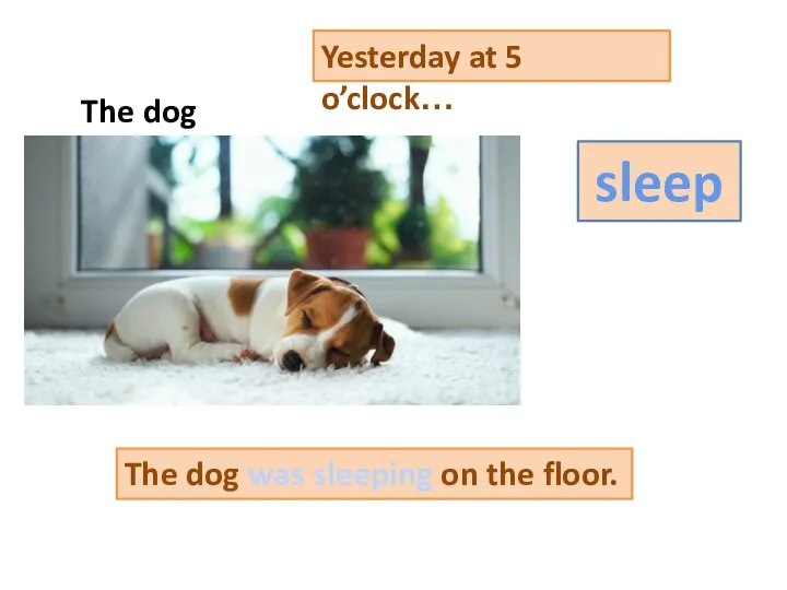 Yesterday at 5 o’clock… sleep The dog was sleeping on the floor. The dog