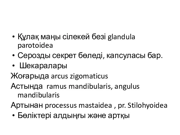 Құлақ маңы сілекей безі glandula parotoidea Серозды секрет бөледі, капсуласы бар. Шекаралары