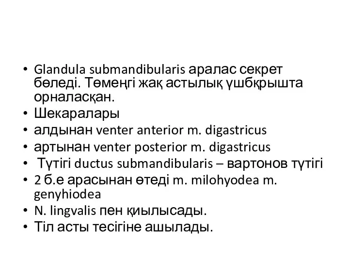 Glandula submandibularis аралас секрет бөледі. Төмеңгі жақ астылық үшбқрышта орналасқан. Шекаралары алдынан