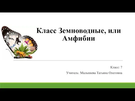 Класс Земноводные, или Амфибии Класс: 7 Учитель: Малышева Татьяна Олеговна