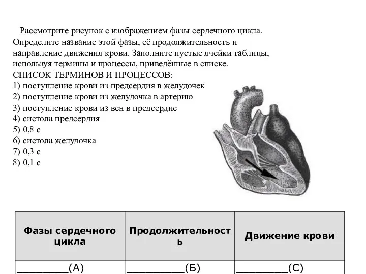 Рассмотрите рисунок с изображением фазы сердечного цикла. Определите название этой фазы, её