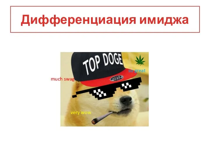 Дифференциация имиджа much swag so great very wow