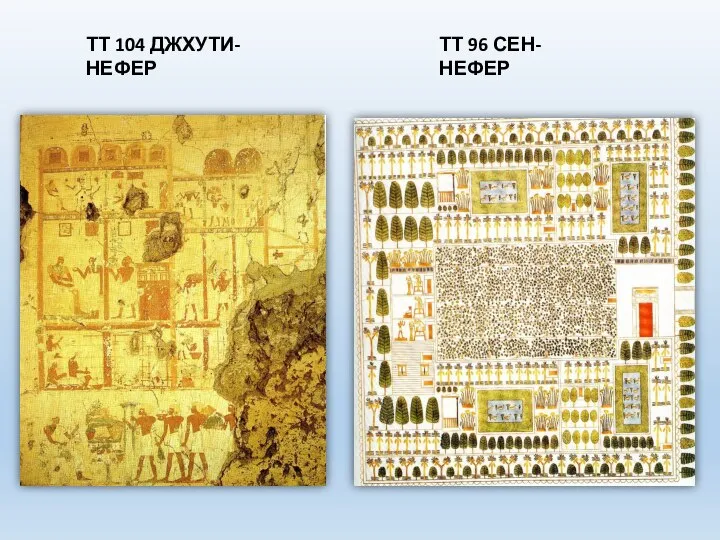 ТТ 104 ДЖХУТИ-НЕФЕР ТТ 96 СЕН-НЕФЕР