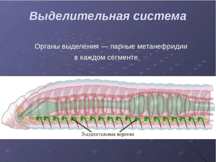 11 желтоқсан, 2015 жыл