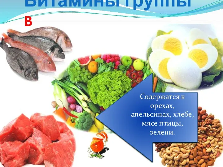 Витамины группы B Содержатся в орехах, апельсинах, хлебе, мясе птицы, зелени.