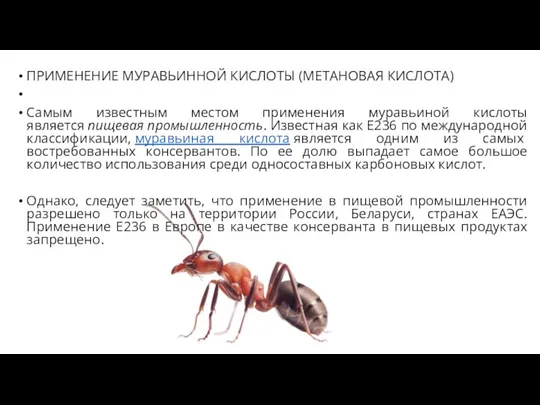 ПРИМЕНЕНИЕ МУРАВЬИННОЙ КИСЛОТЫ (МЕТАНОВАЯ КИСЛОТА) Самым известным местом применения муравьиной кислоты является