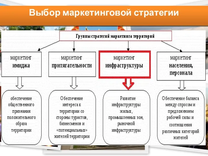 Выбор маркетинговой стратегии