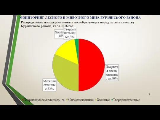 МОНИТОРИНГ ЛЕСНОГО И ЖИВОТНОГО МИРА БУРЗЯНСКОГО РАЙОНА