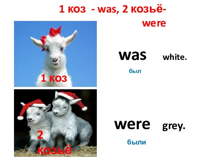 was white. был were grey. были 1 коз - was, 2 козьё-