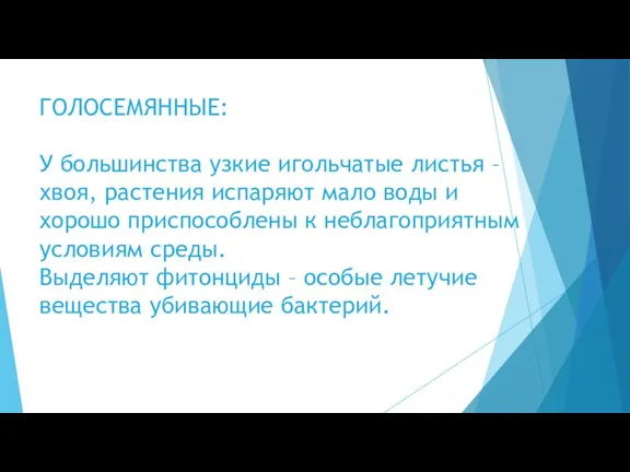 ГОЛОСЕМЯННЫЕ: У большинства узкие игольчатые листья – хвоя, растения испаряют мало воды