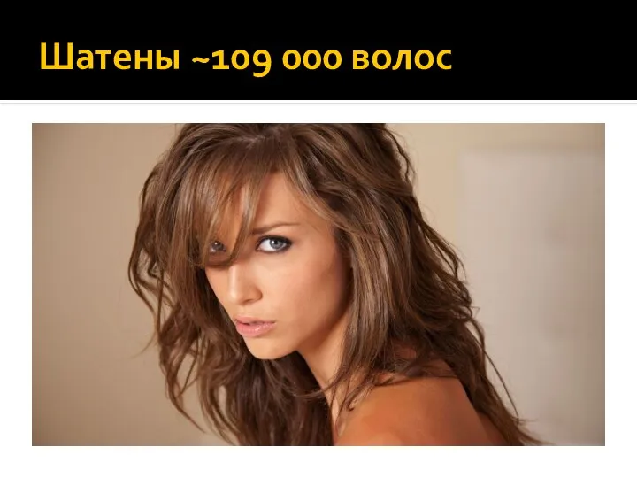 Шатены ~109 000 волос