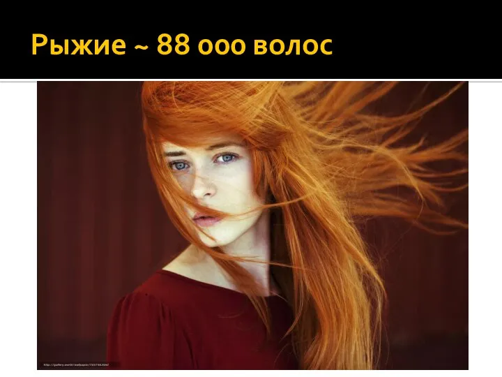 Рыжие ~ 88 000 волос