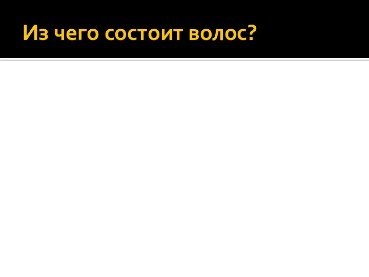 Из чего состоит волос?