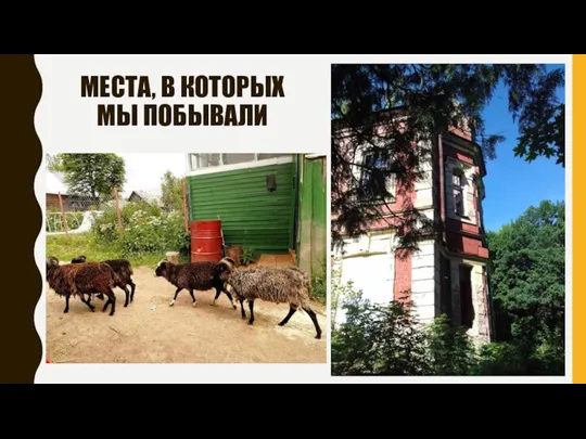 МЕСТА, В КОТОРЫХ МЫ ПОБЫВАЛИ