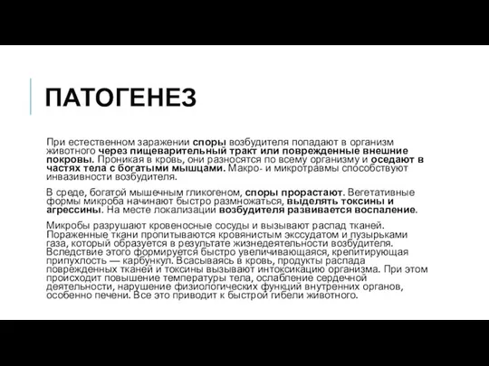 ПАТОГЕНЕЗ При естественном заражении споры возбудителя по­падают в организм животного через пищеварительный