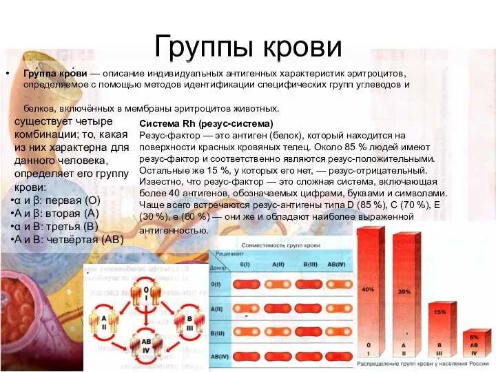 Группы крови Гру́ппа кро́ви — описание индивидуальных антигенных характеристик эритроцитов, определяемое с