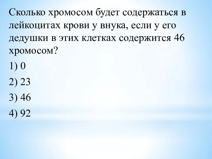 Сколько хромосом будет содержаться в лейкоцитах крови у внука, если у его