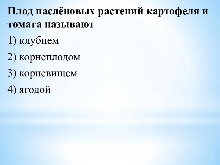 Плод паслёновых растений картофеля и томата называют 1) клубнем 2) корнеплодом 3) корневищем 4) ягодой