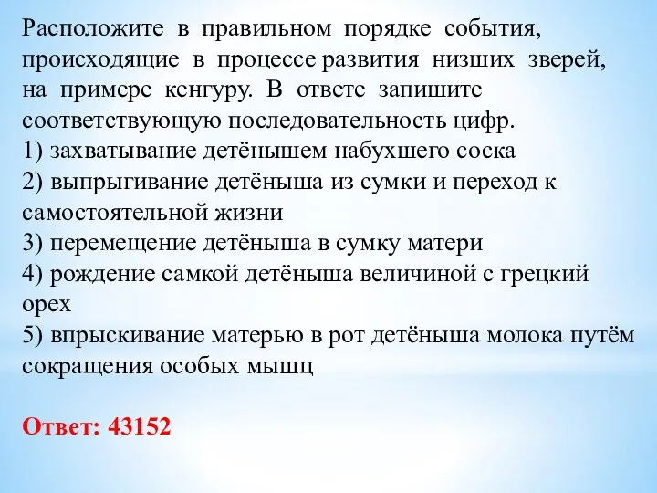 Расположите в правильном порядке события, происходящие в процессе развития низших зверей, на