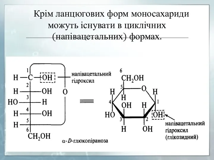 Крім ланцюгових форм моносахариди можуть існувати в циклічних (напівацетальних) формах. ПРОЦЕС ПЕРЕХОДУ АЛЬДЕГІДНОЇ ФОРМИ В ЦИКЛІЧНУ