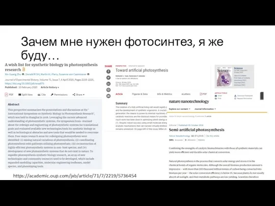 Зачем мне нужен фотосинтез, я же буду… https://academic.oup.com/jxb/article/71/7/2219/5736454