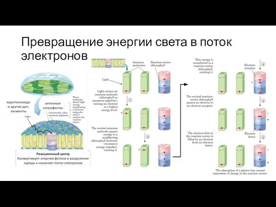 Превращение энергии света в поток электронов