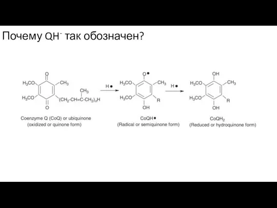 Почему QH- так обозначен?