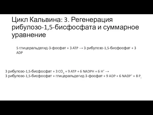 Цикл Кальвина: 3. Регенерация рибулозо-1,5-бисфосфата и суммарное уравнение 5 глицеральдегид-3-фосфат + 3