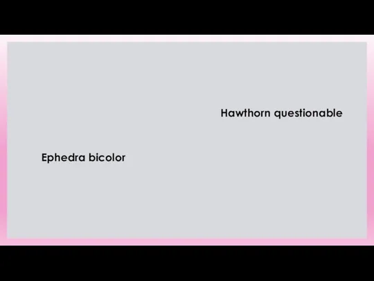 Ephedra bicolor Hawthorn questionable