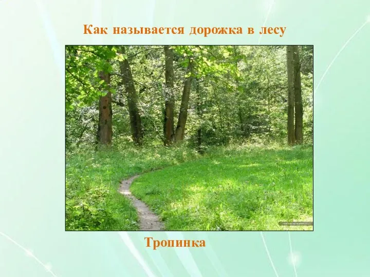 Найди фигуры А, В,С в квадрате справа Как называется дорожка в лесу Тропинка