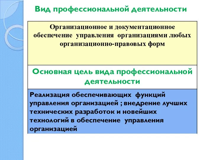 Вид профессиональной деятельности