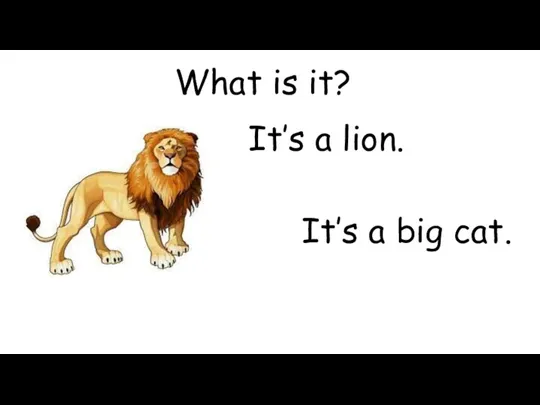 What is it? It’s a lion. It’s a big cat.