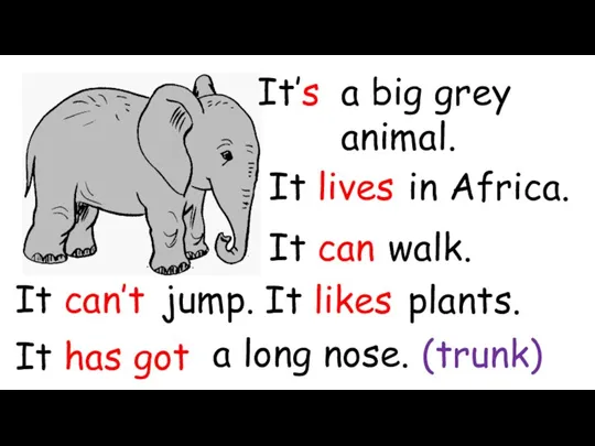 It’s a big grey animal. It lives in Africa. It can walk.