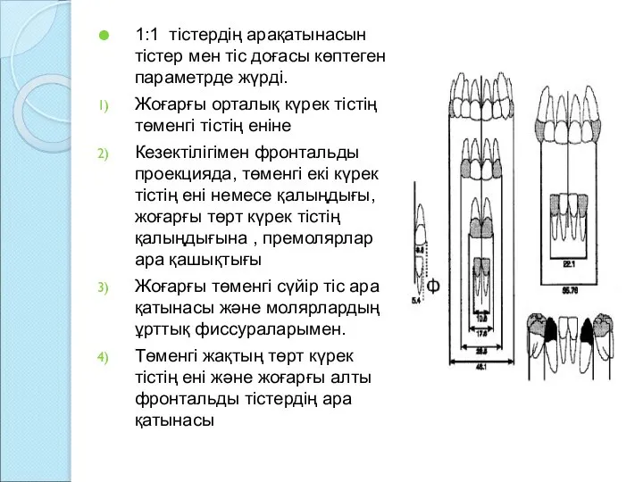 1:1 тістердің арақатынасын тістер мен тіс доғасы көптеген параметрде жүрді. Жоғарғы орталық