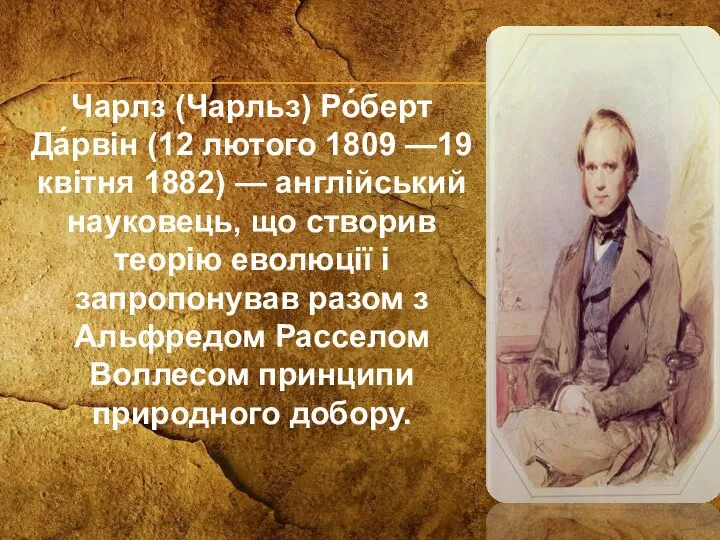 Чарлз (Чарльз) Ро́берт Да́рвін (12 лютого 1809 —19 квітня 1882) — англійський