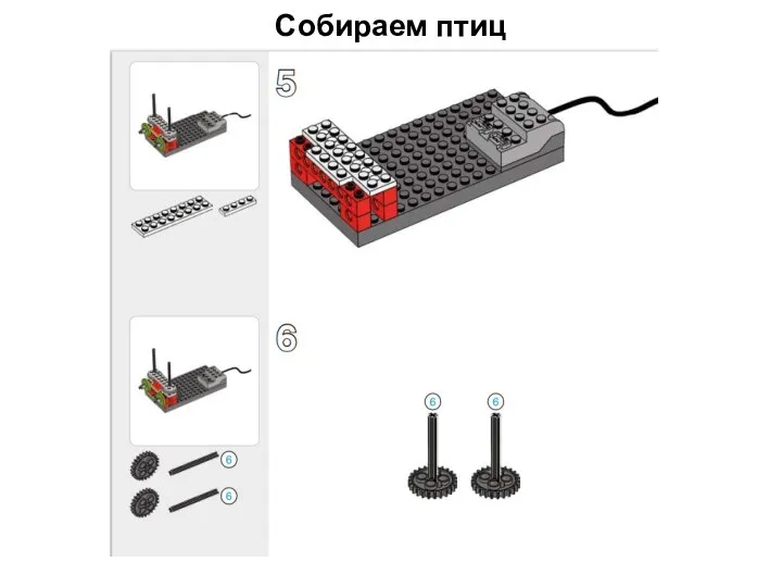 Собираем птиц