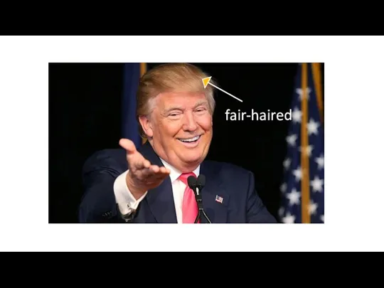fair-haired Donald Trump is fair-haired.