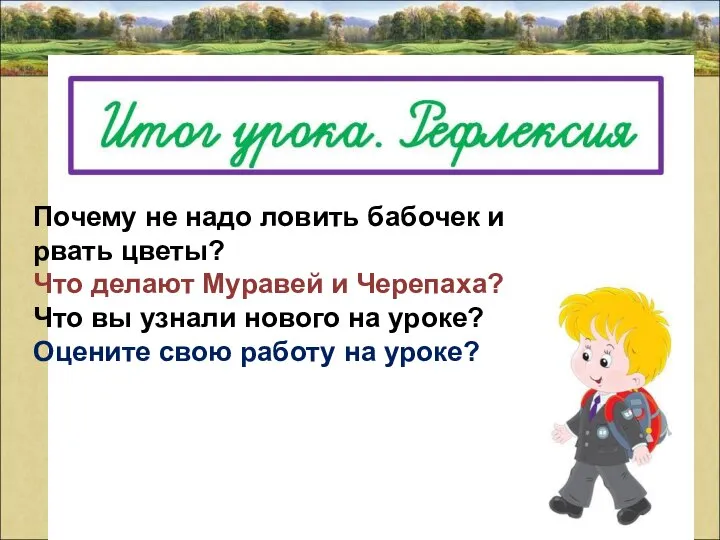 Почему не надо ловить бабочек и рвать цветы? Что делают Муравей и