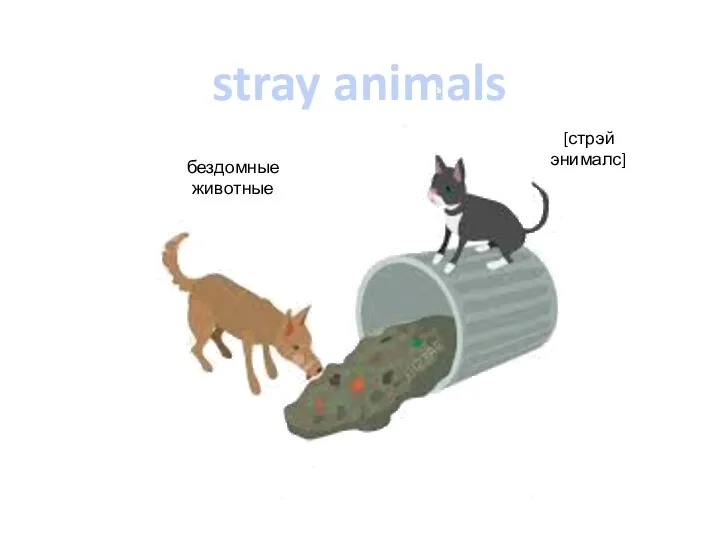 stray animals [стрэй энималс] бездомные животные