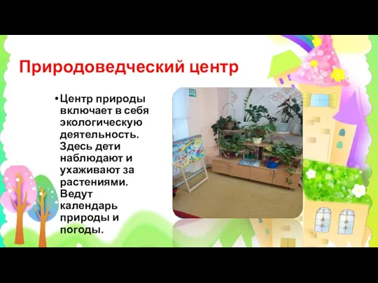 Природоведческий центр Центр природы включает в себя экологическую деятельность. Здесь дети наблюдают