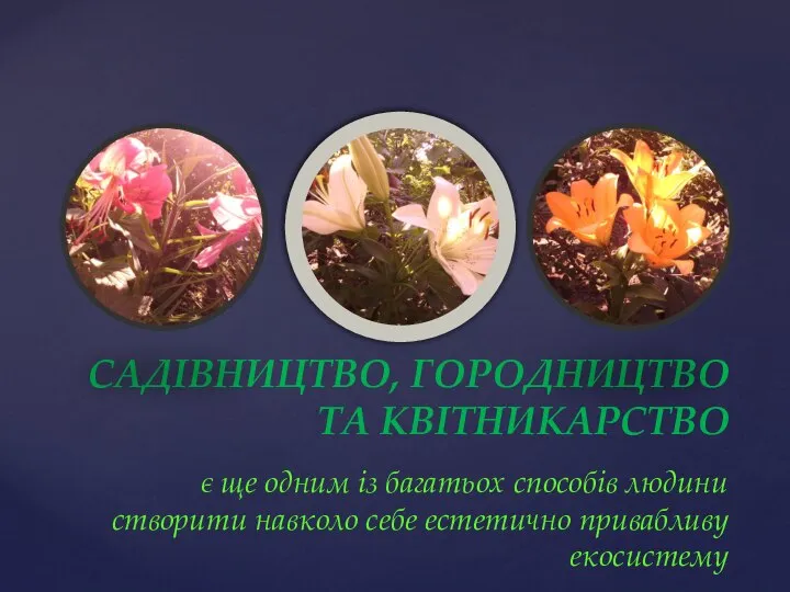 САДІВНИЦТВО, ГОРОДНИЦТВО ТА КВІТНИКАРСТВО є ще одним із багатьох способів людини створити