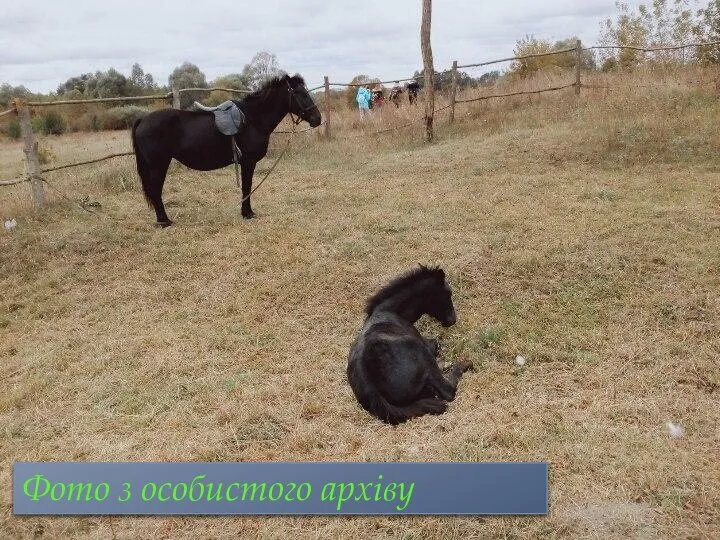 Фото з особистого архіву