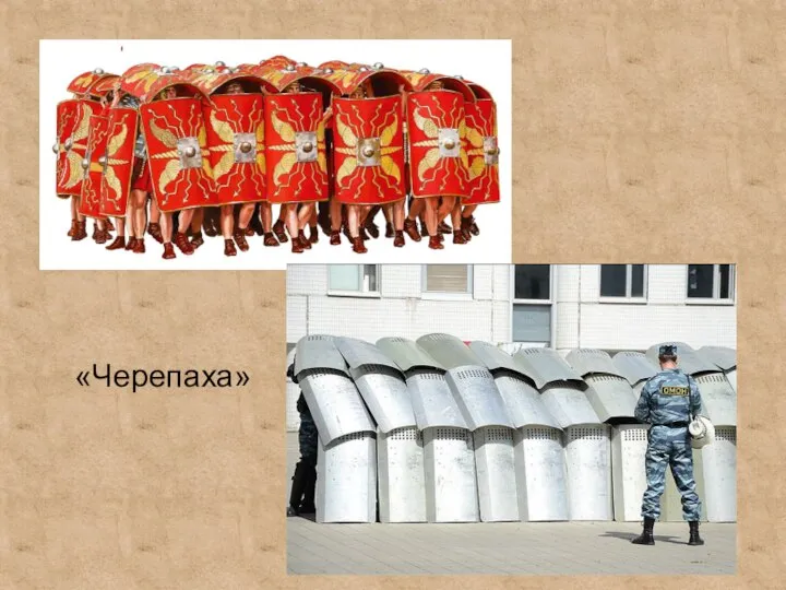 «Черепаха»