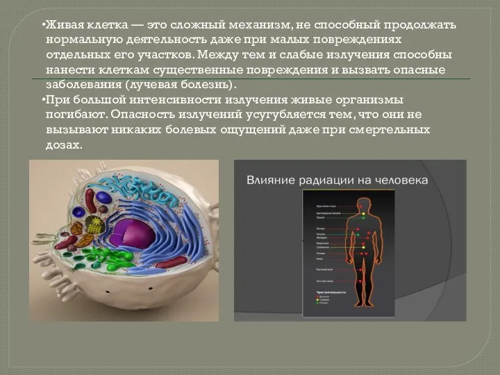 Живая клетка — это сложный механизм, не способный продолжать нормальную деятельность даже