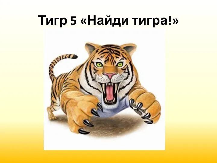 Тигр 5 «Найди тигра!»