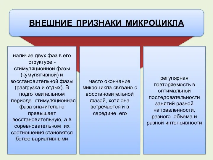 ВНЕШНИЕ ПРИЗНАКИ МИКРОЦИКЛА наличие двух фаз в его структуре - стимуляционной фазы