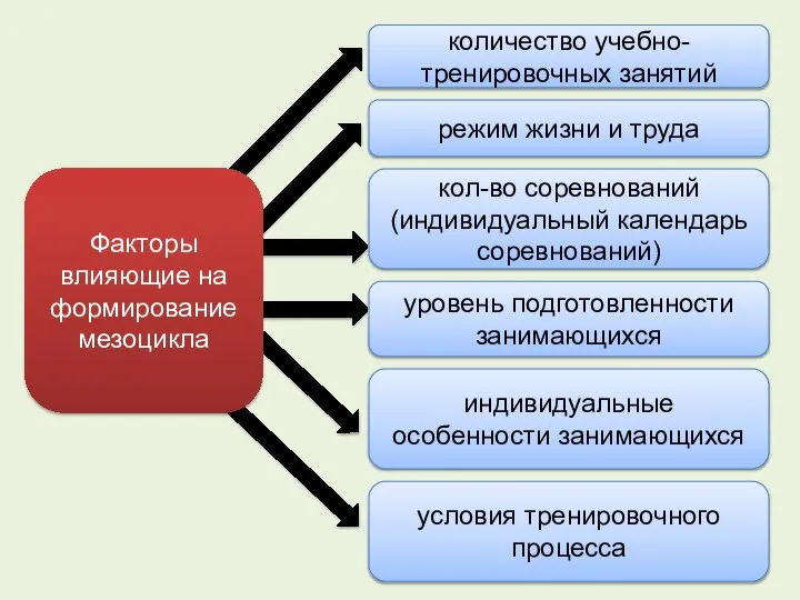 количество учебно-тренировочных занятий индивидуальные особенности занимающихся режим жизни и труда уровень подготовленности