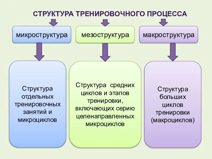 СТРУКТУРА ТРЕНИРОВОЧНОГО ПРОЦЕССА микроструктура мезоструктура макроструктура Структура отдельных тренировочных занятий и микроциклов