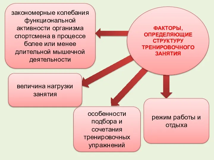 закономерные колебания функциональной активности организма спортсмена в процессе более или менее длительной